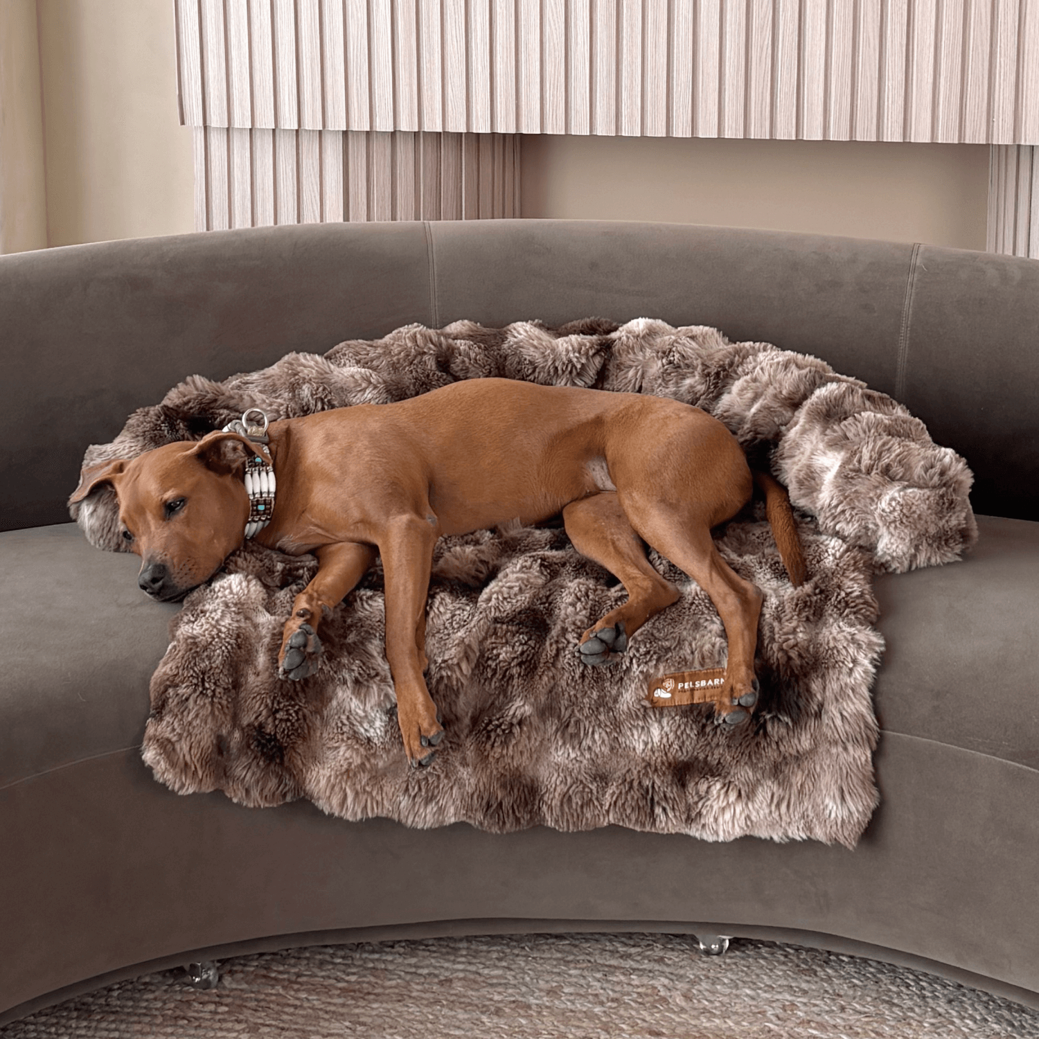 Velocitytoys™– Luxurious Sofa Bed