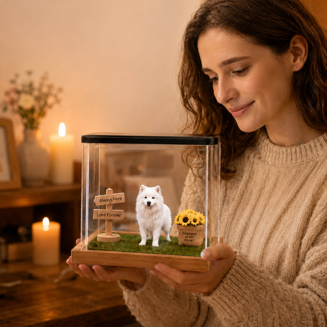 Custom Pet Holographic Memorial Box