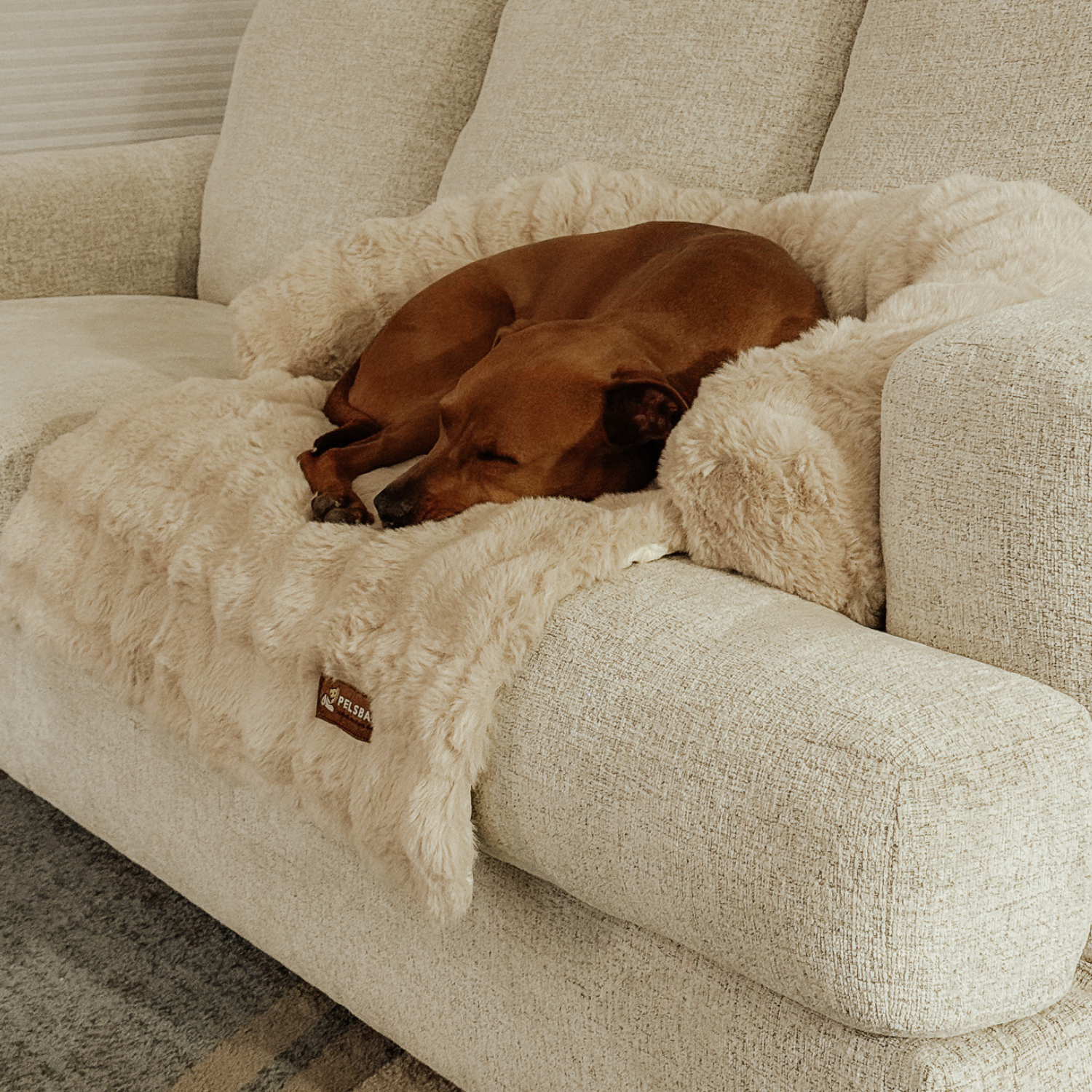 Velocitytoys™– Luxurious Sofa Bed