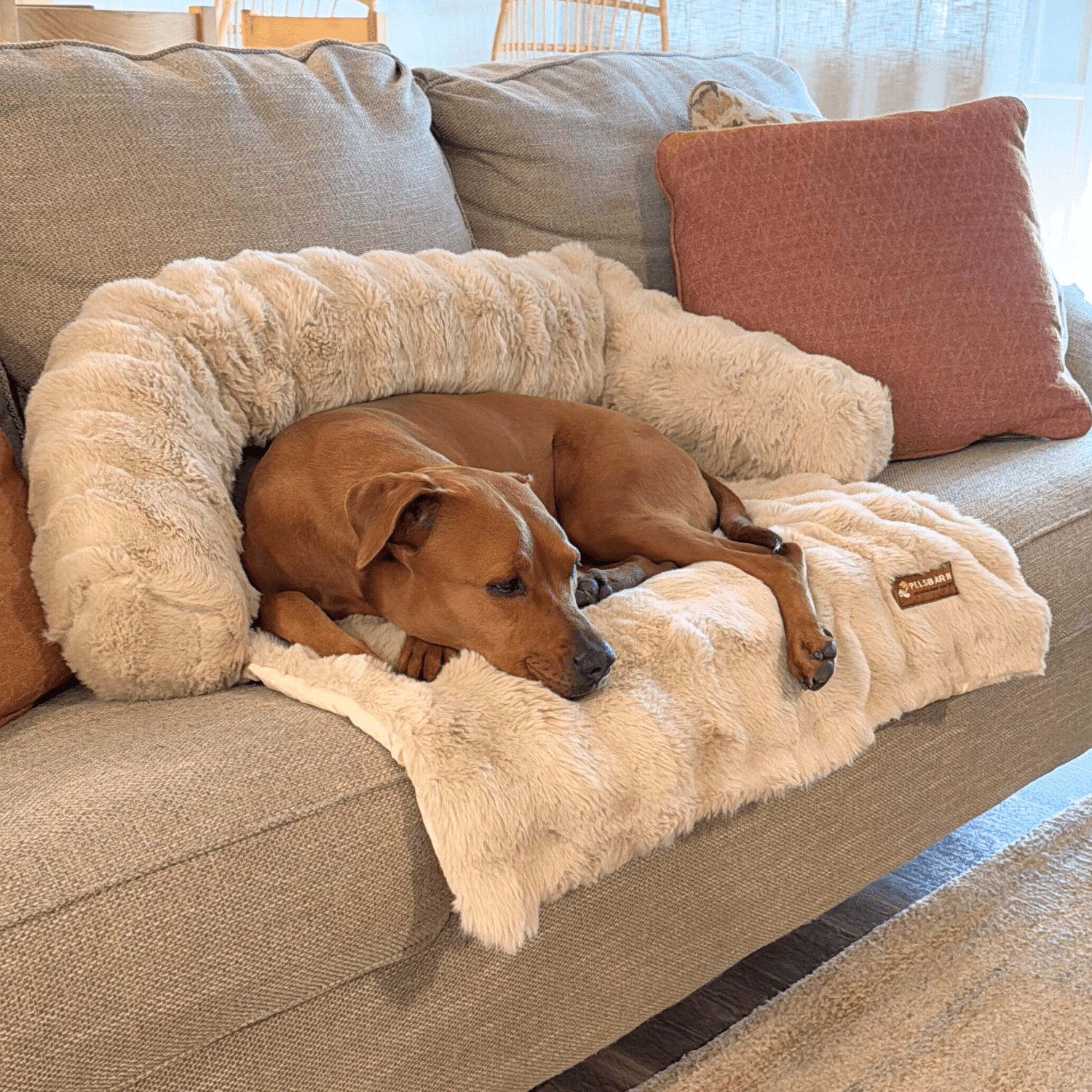Velocitytoys™– Luxurious Sofa Bed