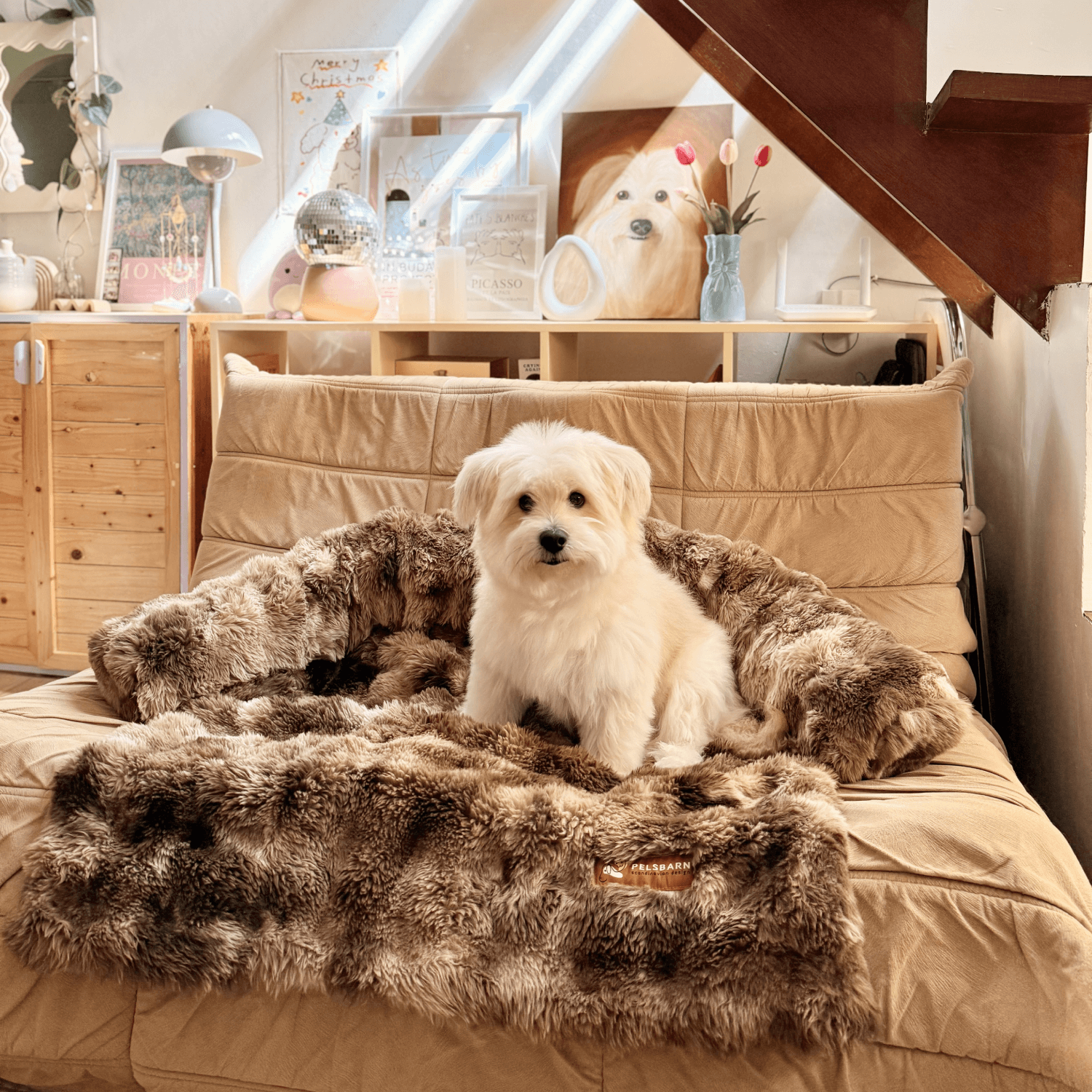 Velocitytoys™–  Luxurious Sofa Bed