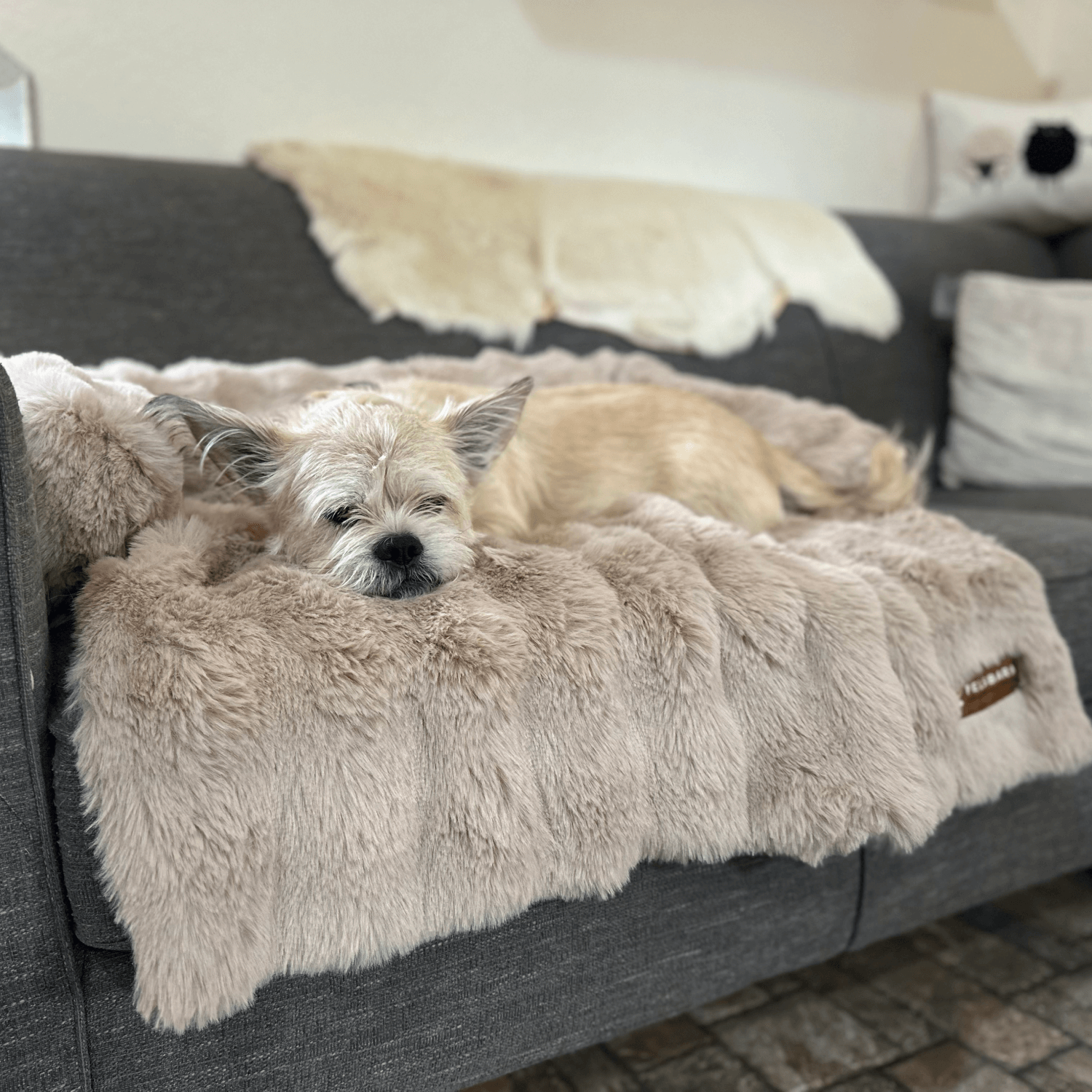 Velocitytoys™–  Luxurious Sofa Bed